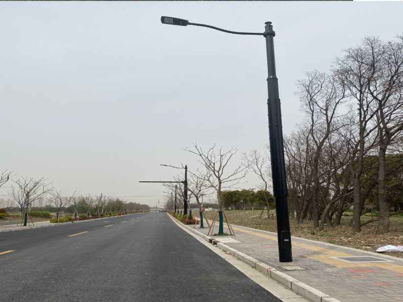广丰区上海综合杆 太阳能路灯工程